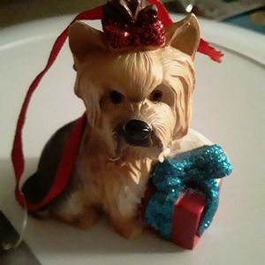 Yorkshire Terrier puppy with presents new